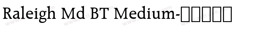Raleigh Md BT Medium字体转换